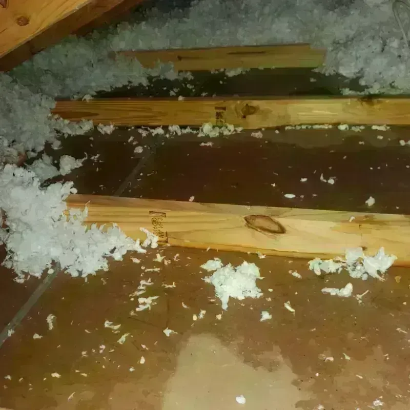 Attic Water Damage in Mount Pleasant, MI