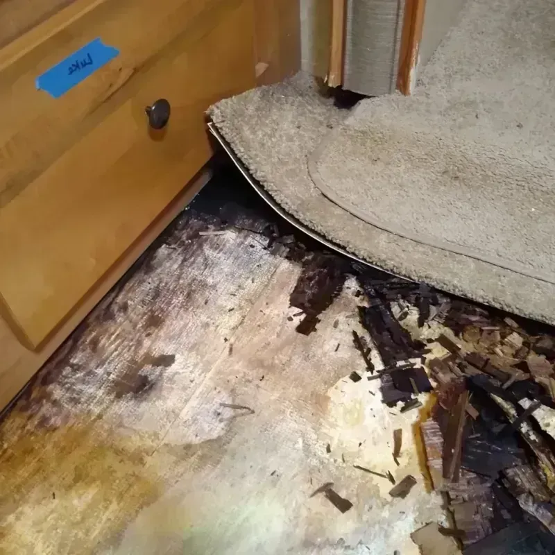 Wood Floor Water Damage in Mount Pleasant, MI